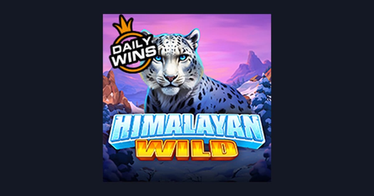 Himalayan Wild: Game Slot Populer dengan Tips Kelola Modal Kecil