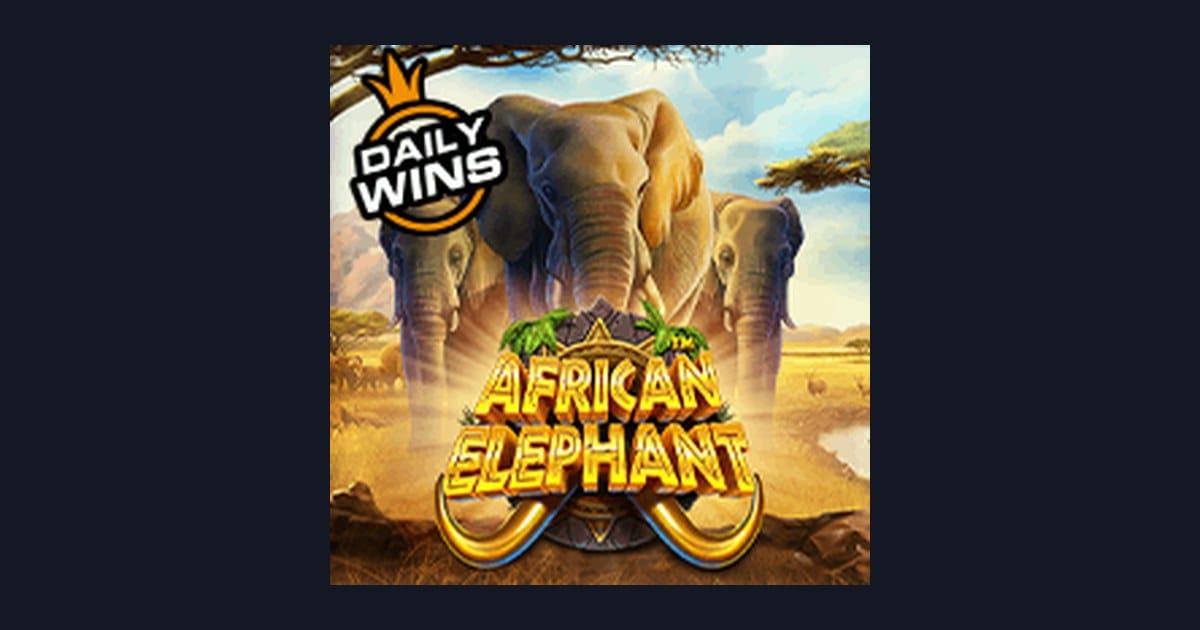 Rahasia Tips Pola Maxwin di Slot African Elephant dari Pragmatic Play